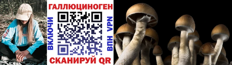 кракен рабочий сайт  Вуктыл  Галлюциногенные грибы прущие грибы  как найти  